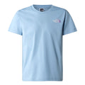 Tricou Fete The North Face G Relaxed Graphic 2