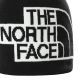 Caciula The North Face Reversible Highline