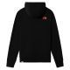 Hanorac The North Face W Graphic Hoodie Light