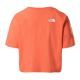 Tricou The North Face W Cropped Easy